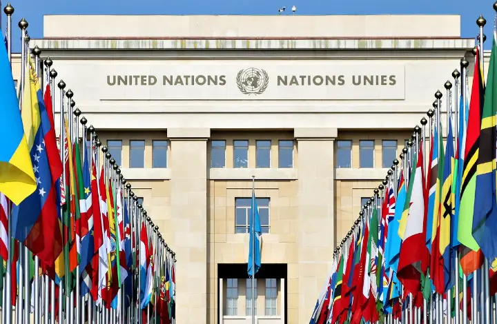 United Nations Job