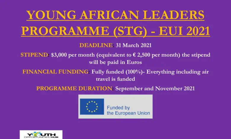 Young African Leaders Programme
