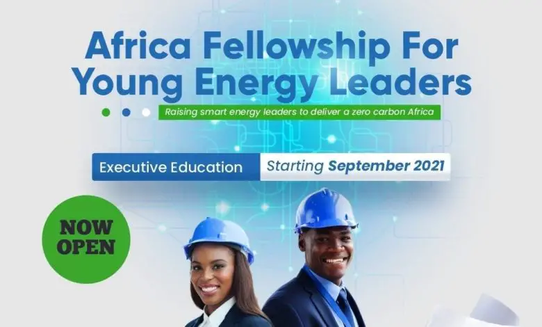 Africa Energy Fellowship for Young Energy Leaders