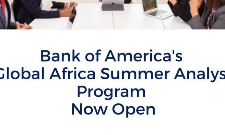 Global Africa Summer Analyst Program