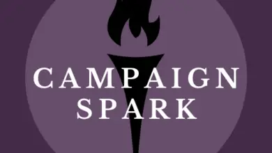 Campaign Spark Image