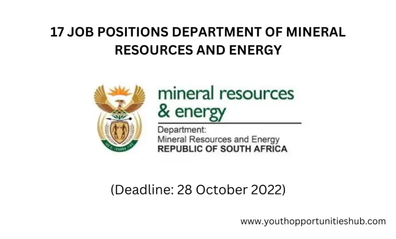 17 JOB POSITIONS DEPARTMENT OF MINERAL RESOURCES AND ENERGY (Deadline: 28 October 2022)