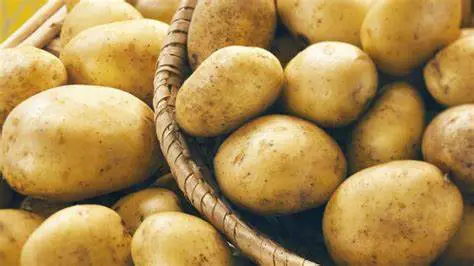 POTATO INDUSTRY DEVELOPMENT TRUST (PIDT) BURSARIES 2022 FOR YOUNG SOUTH AFRICANS