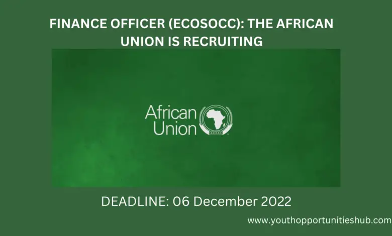 FINANCE OFFICER (ECOSOCC): THE AFRICAN UNION IS RECRUITING