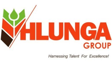 Photo of HLUNGA GROUP IS RECRUITING FOR AN INTERN–FINANCE x1