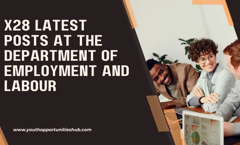 ARE YOU TIRED OF BEING UNEMPLOYED? APPLY FOR (X28 LATEST POSTS) AT THE DEPARTMENT OF EMPLOYMENT AND LABOUR (Closing Date: 18 November 2022)