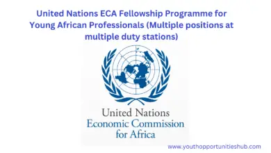 Photo of United Nations ECA Fellowship Programme for Young African Professionals (Multiple positions at multiple duty stations)