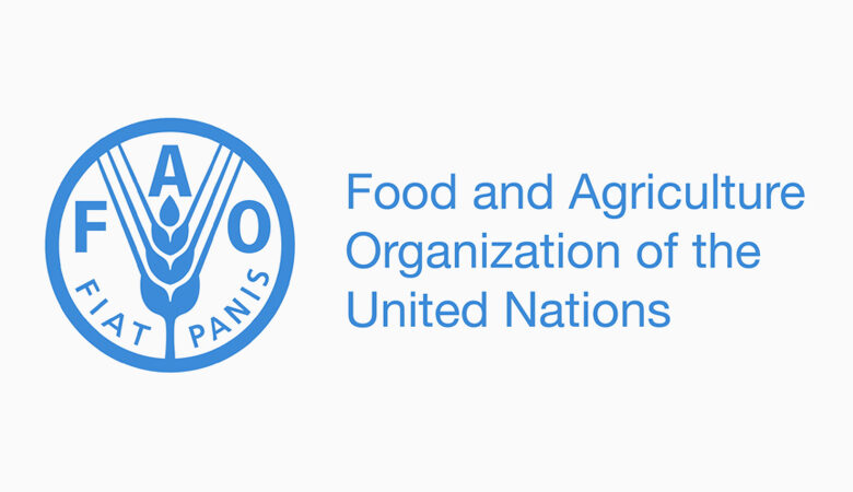 United Nations FAO Young Professional Officer (Evaluation)