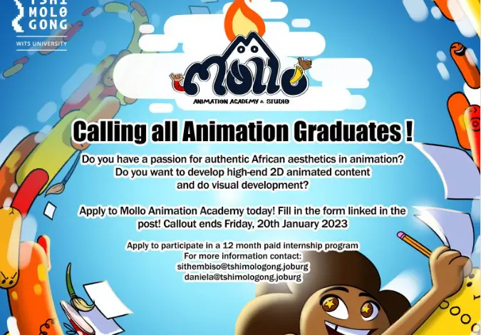 Mollo Animation Academy Internship program application (Johannesburg, South Africa)