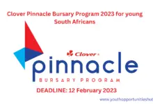 Photo of Clover Pinnacle Bursary Program 2023 for young South Africans (funding for university studies)