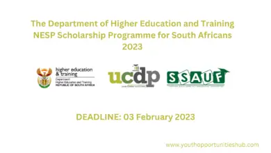 Photo of The Department of Higher Education and Training NESP Scholarship Programme for South Africans 2023