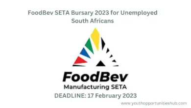 Photo of FoodBev SETA Bursary 2023 for Unemployed South Africans