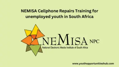 Photo of NEMISA Cellphone Repairs Training for unemployed youth in South Africa