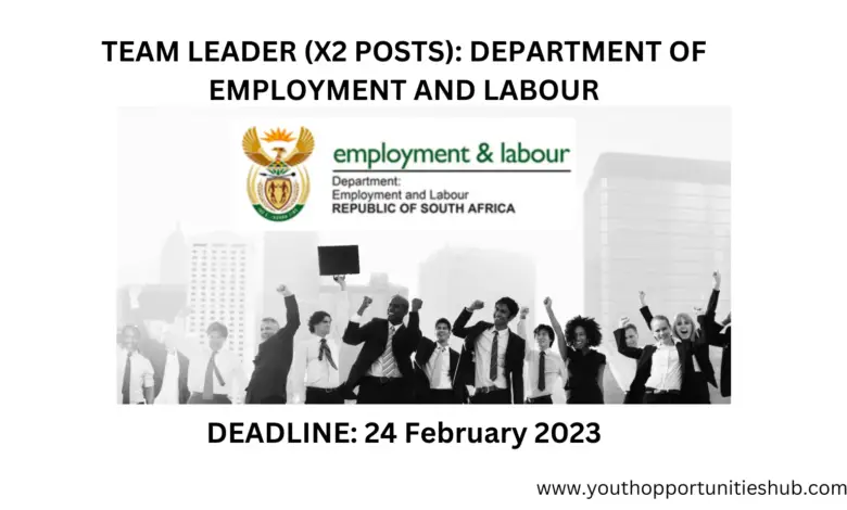 TEAM LEADER (X2 POSTS): DEPARTMENT OF EMPLOYMENT AND LABOUR (24 February 2023 at 16:00)