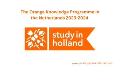Photo of The Orange Knowledge Programme in the Netherlands 2023-2024