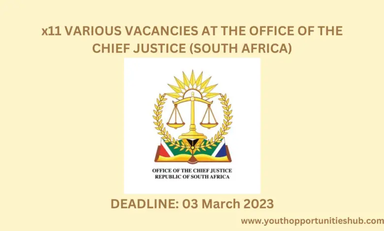 x11 VARIOUS VACANCIES AT THE OFFICE OF THE CHIEF JUSTICE (SOUTH AFRICA)