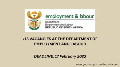 Photo of FEBRUARY 2013 UPDATE: x13 VACANCIES AT THE DEPARTMENT OF EMPLOYMENT AND LABOUR