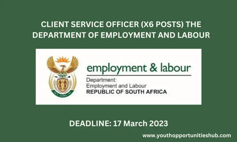 CLIENT SERVICE OFFICER (X6 POSTS) THE DEPARTMENT OF EMPLOYMENT AND LABOUR