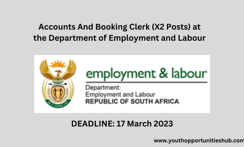 Accounts And Booking Clerk (X2 Posts) at the Department of Employment and Labour