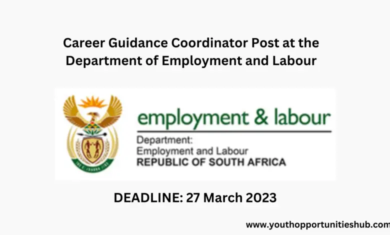 Career Guidance Coordinator Post at the Department of Employment and Labour