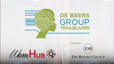 Photo of De Beers Group Trailblazer Accelerator Female Entrepreneurs: Open Applications (for women based in South Africa, Namibia or Botswana)