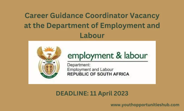 Career Guidance Coordinator Vacancy at the Department of Employment and Labour