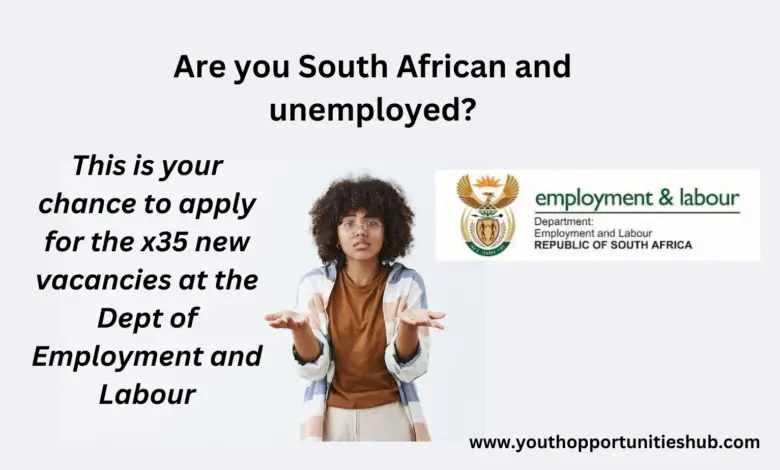 Are you unemployed? Do not miss this opportunity to apply for x35 new vacancies at the Department of Employment and Labour, South Africa