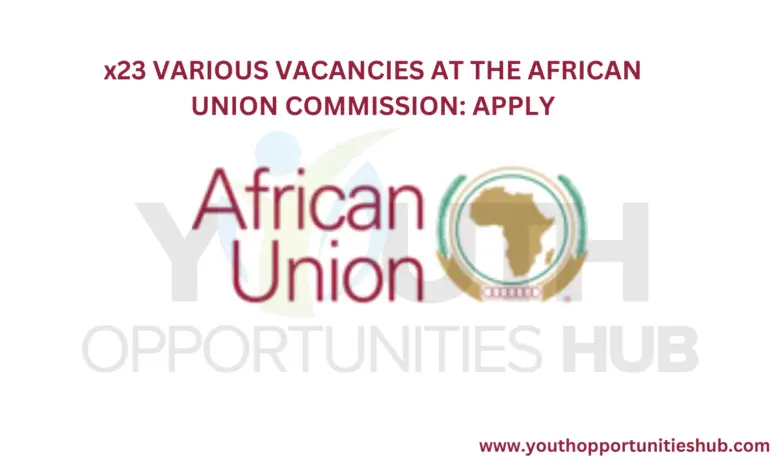 VARIOUS VACANCIES AT THE AFRICAN UNION COMMISSION: APPLY