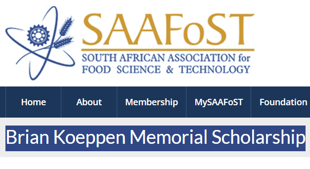 Brian Koeppen Memorial Scholarship for South African Citizens to Study at South African Universities