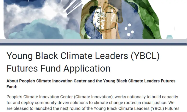 Young Black Climate Leaders (YBCL) Futures Fund Application