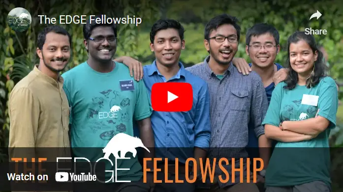 The call for 2024-2026 EDGE Fellowship applications is now OPEN