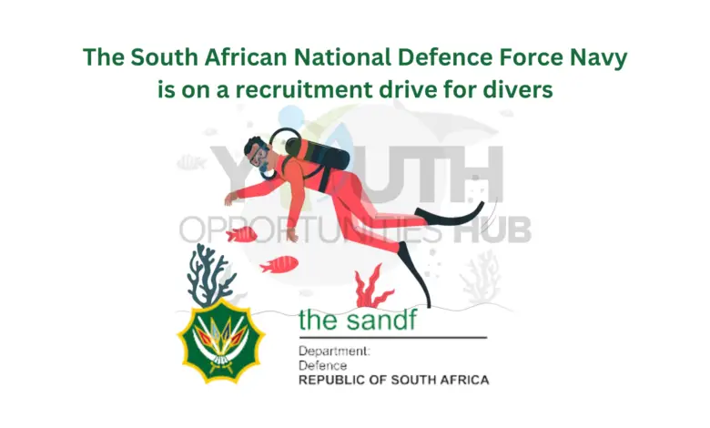 Can you swim 300-metre freestyle and under the age of 26? The South African National Defence Force Navy is on a recruitment drive for divers
