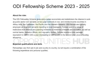 ODI Fellowship Scheme 2023-2025: Fellows receive a total package equivalent to GBP21,000 a year (increasing to GBP23,000 in the second year)