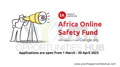 Impact Amplifier is seeking applications for its Africa Online Safety Fund