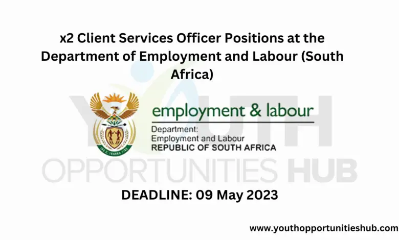 x2 Client Services Officer Positions at the Department of Employment and Labour (South Africa)