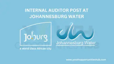 Photo of INTERNAL AUDITOR POST AT JOHANNESBURG WATER