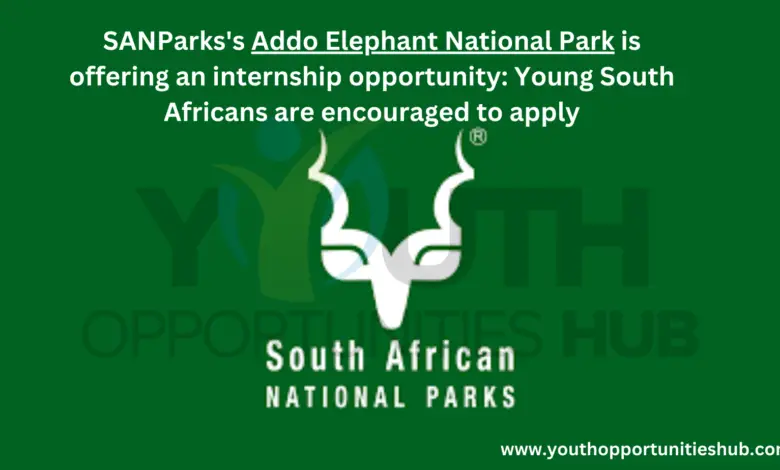 SANParks's Addo Elephant National Park is offering an internship opportunity
