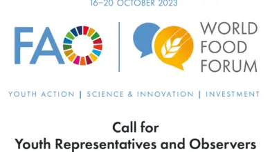 Photo of Call for youth Representatives and Observers