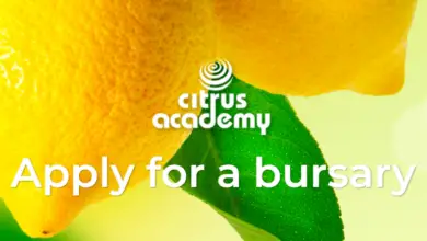 Photo of Citrus Academy bursary 2024 for citizens of South Africa, Swaziland, or Zimbabwe