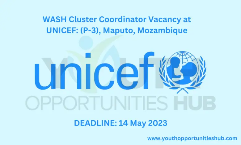 WASH Cluster Coordinator Vacancy at UNICEF: (P-3), Maputo, Mozambique 