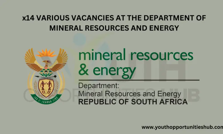x14 VARIOUS VACANCIES AT THE DEPARTMENT OF MINERAL RESOURCES AND ENERGY