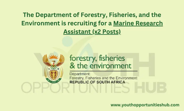 The Department of Forestry, Fisheries, and the Environment is recruiting for a Marine Research Assistant (x2 Posts)
