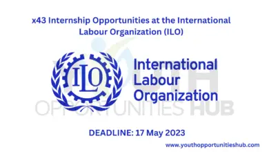 Photo of x43 Internship Opportunities at the International Labour Organization (ILO)