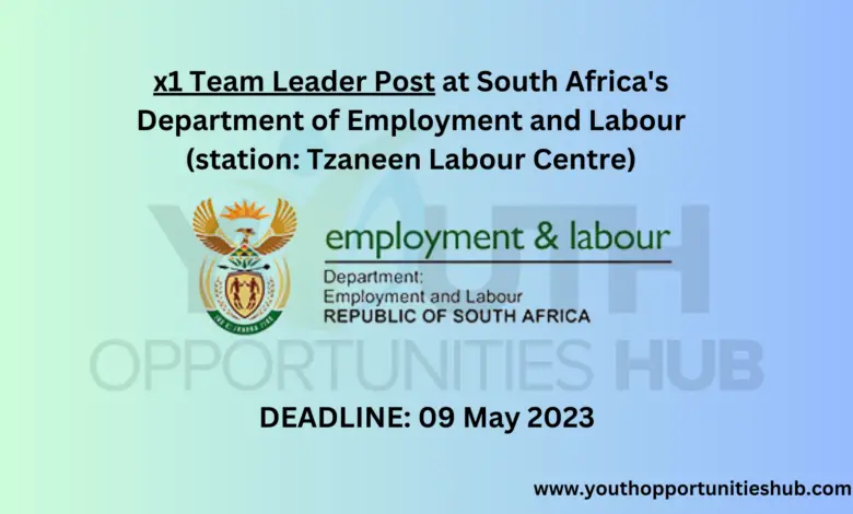 x1 Team Leader Post at South Africa's Department of Employment and Labour (station: Tzaneen Labour Centre)