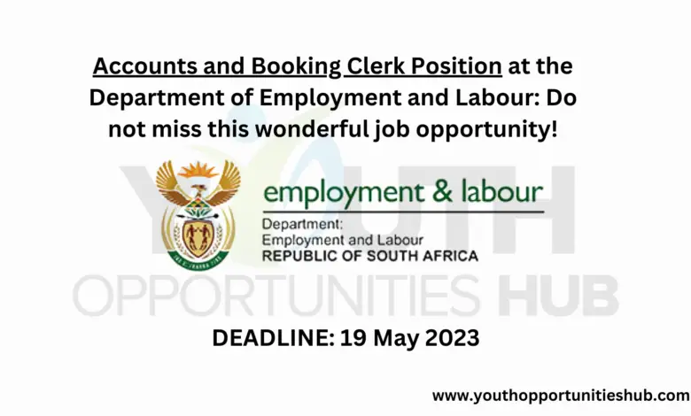 Accounts and Booking Clerk Position at the Department of Employment and Labour: Do not miss this wonderful job opportunity!