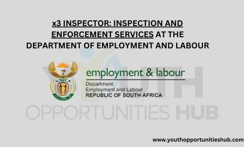 x3 INSPECTOR: INSPECTION AND ENFORCEMENT SERVICES AT THE DEPARTMENT OF EMPLOYMENT AND LABOUR