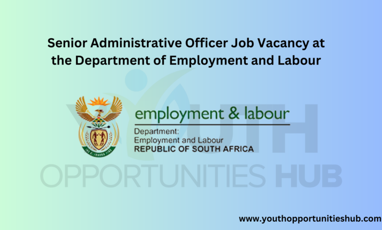 Senior Administrative Officer Job Vacancy at the Department of Employment and Labour