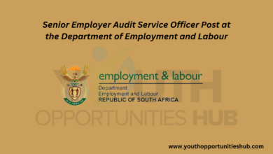 Photo of Senior Employer Audit Service Officer Post at the Department of Employment and Labour