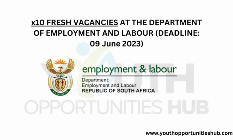 x10 FRESH VACANCIES AT THE DEPARTMENT OF EMPLOYMENT AND LABOUR (DEADLINE: 09 June 2023)