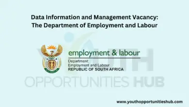 Photo of Data Information and Management Vacancy: The Department of Employment and Labour